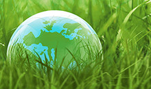 EU turf continues to improve its market share, but forage grasses struggle